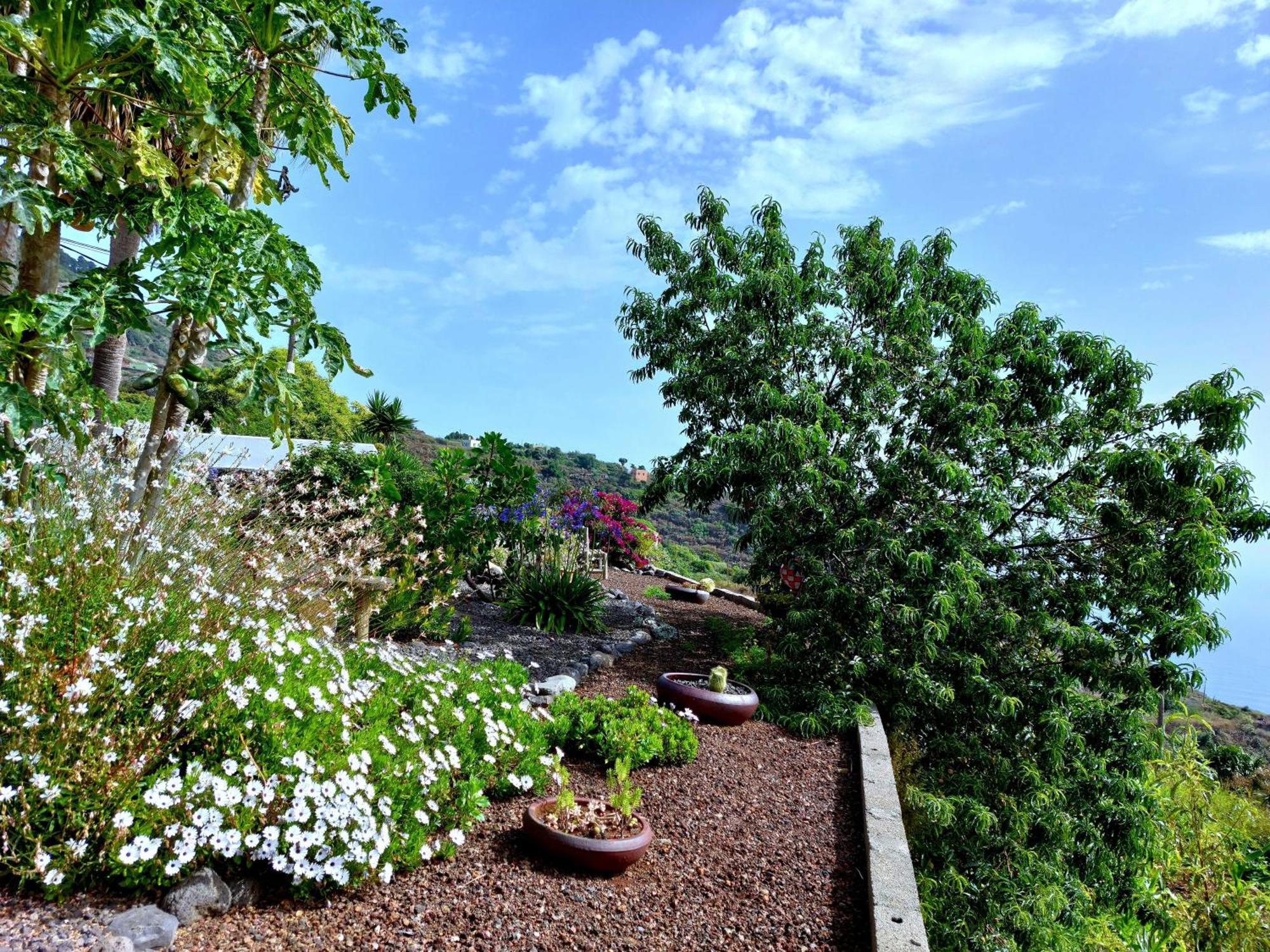 Eloína Vila Barlovento Exterior foto